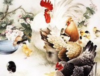 2019年：穷和富裕，只是选择题