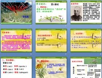有关气变成去尾维新的名言