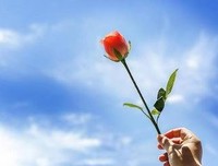 最经典的《肥鸟当自强》经典名句