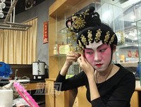 关于雏凤的格言