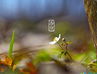 集锦句子大全
