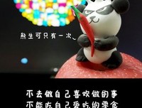 鸡汤句子
