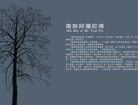 最全的《爱如禅 你如佛》好段摘抄大全