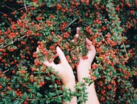 描写九夏的经典句子