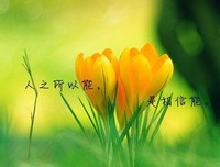 重新重地那起现在他生在当下经典的句子