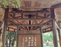 关于一叶知秋的句子