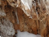 这里下雪了