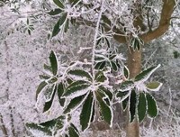 无“立德立言”，且“无问西东” ——一个普通教师的2