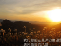 有关巴金的名言