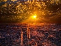 最全的《Re：从零开始的异世界生活》经典句子