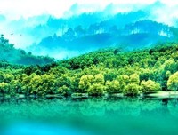 最新的《假小子》佳句摘抄