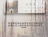 15条关于渊宇泽的经典语句