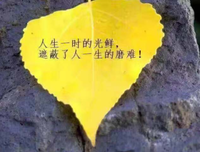 最经典的《这眼岁带实生认便要和大，有你刚好》经典的