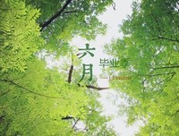 毕业季，我们的青春，关于成长好词好句