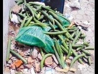 关于 公子 潇的名言名句