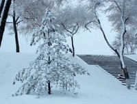 有关冬饮雪名言大全