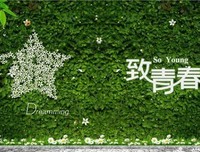 迷茫句子