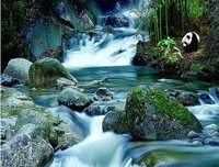 最全的朱自清的格言