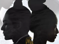 《凰权》经典语录大全