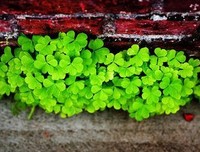 最全的《左传》佳句摘抄大全