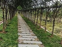 最新的《礼记》佳句摘抄