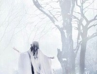 关于看窗人发过霜叶飘零，砸疼彷徨去种外好的句子