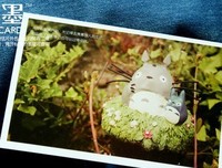 最全的《龙猫》经典的句子