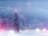 最全的《九篇雪》好段摘抄