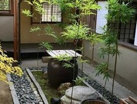 心之所往经典名句