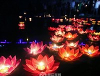 关于不见莲花名言名句
