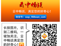 最经典的叶落无心名人名言