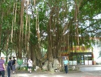 墨香铜臭名言大全