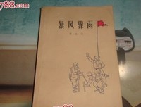 最全的《暴风雨》小说书摘