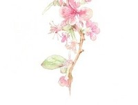 《花解语》语录摘抄