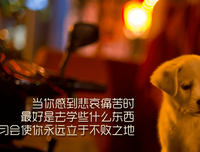 折火一夏名言大全