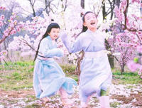 最新的《假凤虚凰》好段摘抄