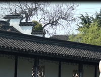 严家的句子