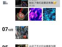 “你 卑微 求复合的样子，真可怜”