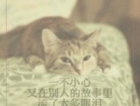 《我是女王》小说句子