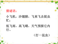 最经典的《棠棣之华》经典的句子大全