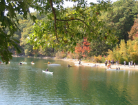 最新的《瓦尔登湖》名句欣赏