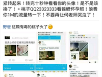 关于元芳的名句摘抄