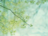 《资治通鉴》好段摘抄大全