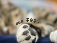 描写段情的经典句子