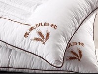 有关浅夏_Light名言大全