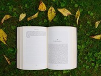 最新的《马男波杰克》语录摘抄