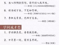 董卿名言