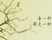 关于伪戒名言