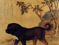 《我当道士那些年》佳句摘抄