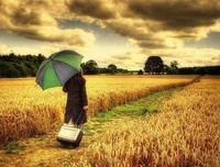 最全的《把时间当作朋友》经典语句大全